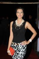 Hamsa Nandhini at Attarintiki Daaredi Audio